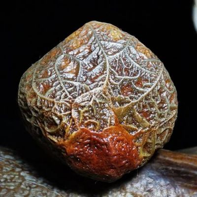 筋脉石价格(筋脉石有收藏价值吗)-图2 筋脉石价格(筋脉石有收藏价值吗)-图2
