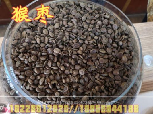 猴枣价格（猴枣别名）