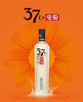 37亳菊价格(37度亳菊一瓶多少元)-图2 37亳菊价格(37度亳菊一瓶多少元)-图2