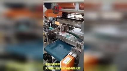 套袋机价格(自动套袋子机视频)-图3 套袋机价格(自动套袋子机视频)-图3
