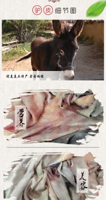 驴皮一张价格（整张驴皮价格）