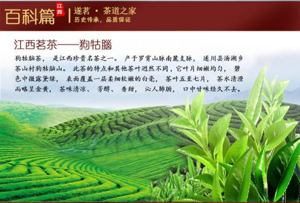 玉芽芝岩白茶价格(玉芽芝岩白茶价格表)-图2 玉芽芝岩白茶价格(玉芽芝岩白茶价格表)-图2