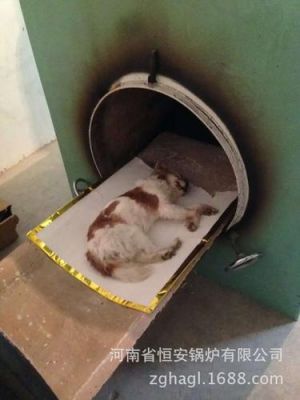 火化炉价格(宠物火化炉价格)-图3 火化炉价格(宠物火化炉价格)-图3