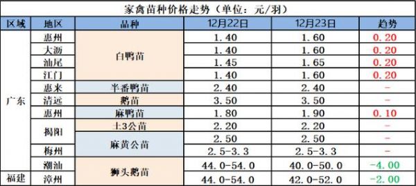 北京肉鹅价格(北方鹅肉价格)-图3 北京肉鹅价格(北方鹅肉价格)-图3