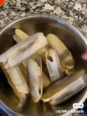 指甲贝价格(指甲贝的营养价值)-图3 指甲贝价格(指甲贝的营养价值)-图3