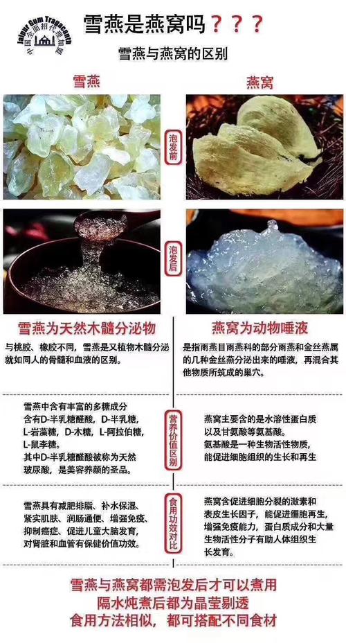 血燕的价格(血燕价格正常多少钱1斤?)-图2 血燕的价格(血燕价格正常多少钱1斤?)-图2