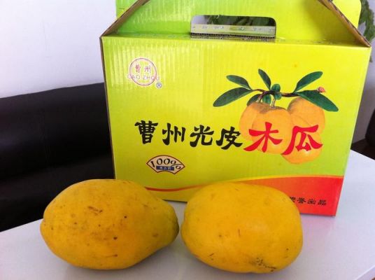 曹州木瓜价格(曹县木瓜)-图2 曹州木瓜价格(曹县木瓜)-图2