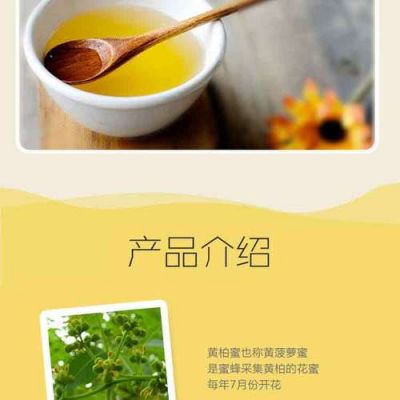 黄柏蜜的价格(黄柏蜜产自哪里)-图2 黄柏蜜的价格(黄柏蜜产自哪里)-图2