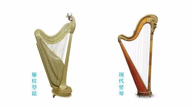 竖琴价格多少(竖琴价格多少合适)-图3 竖琴价格多少(竖琴价格多少合适)-图3