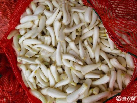 蕌头的价格(藠头产地哪里)-图2 蕌头的价格(藠头产地哪里)-图2