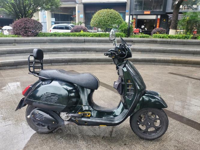 维斯帕300价格（维斯帕300优缺点）-图2