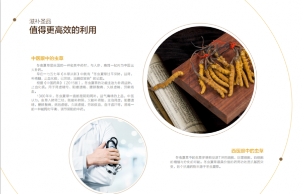 包含中科虫草价格的词条-图2 包含中科虫草价格的词条-图2