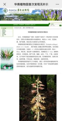 美冠兰价格（美冠兰是不是珍稀）