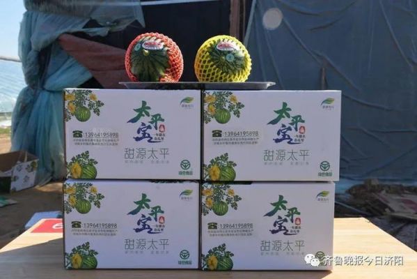 济阳二太平西瓜价格(太平西瓜市场在哪里)-图2 济阳二太平西瓜价格(太平西瓜市场在哪里)-图2