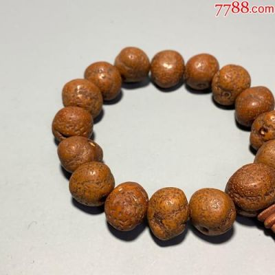 蟾宝菩提价格(金蟾菩提)-图3 蟾宝菩提价格(金蟾菩提)-图3