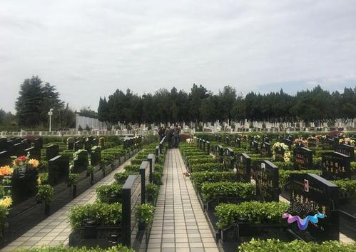 扬州茅山公墓价格(扬州茅山公墓价格走势)-图2 扬州茅山公墓价格(扬州茅山公墓价格走势)-图2