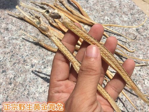 刁海龙价格(刁海东简历)-图2 刁海龙价格(刁海东简历)-图2