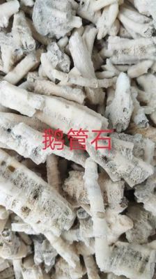 鹅管石价格（鹅管石的价格）