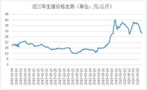 黑猪价格走势（2021黑猪的价格表）