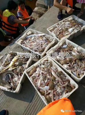 石塘出海捕鱼价格(石塘出海捕鱼价格查询)-图2 石塘出海捕鱼价格(石塘出海捕鱼价格查询)-图2