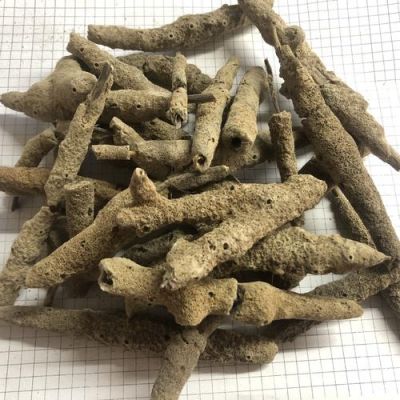 紫稍花的价格(紫梢花多少钱一公斤)-图2 紫稍花的价格(紫梢花多少钱一公斤)-图2