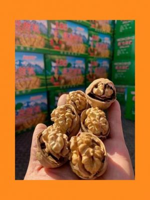 云南长寿仁今日价格(云南长寿仁最新销售行情)-图2 云南长寿仁今日价格(云南长寿仁最新销售行情)-图2