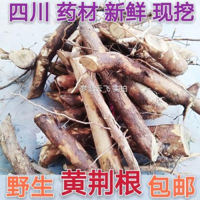 黄荆根价格(黄荆根的功效与作用)-图2 黄荆根价格(黄荆根的功效与作用)-图2