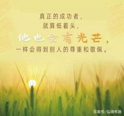 善己胶囊价格(善己牌善己胶囊)-图1 善己胶囊价格(善己牌善己胶囊)-图1