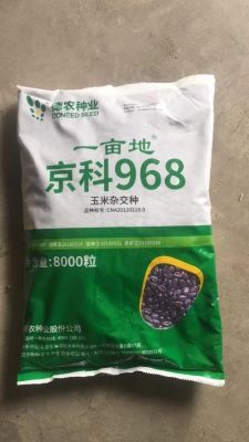 京科968玉米种子价格(玉米优良品种京科968)-图2 京科968玉米种子价格(玉米优良品种京科968)-图2