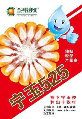 宁玉525价格表（宁玉688）