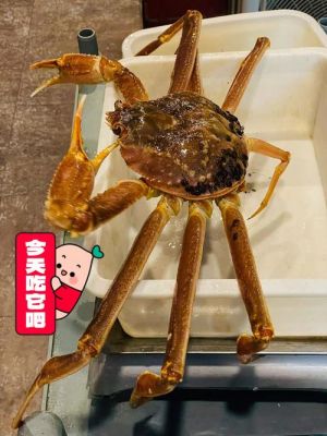 板蟹价格(板蟹价格多少钱一斤)-图2 板蟹价格(板蟹价格多少钱一斤)-图2
