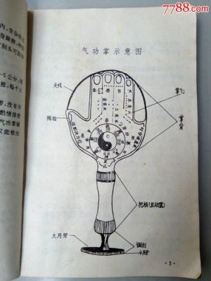 气功掌价格（气功掌使用方法）
