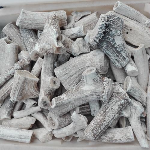 鹿胶霜价格(鹿胶和鹿角霜的区别)-图3 鹿胶霜价格(鹿胶和鹿角霜的区别)-图3