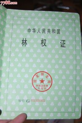 林权价格(林权交易)-图3 林权价格(林权交易)-图3