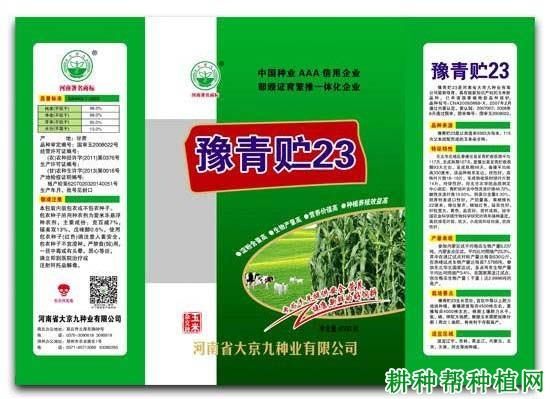 豫青贮23价格(豫青贮23品种介绍)-图2 豫青贮23价格(豫青贮23品种介绍)-图2