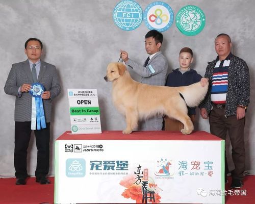 风雷犬业价格（风雷网络科技有限公司）