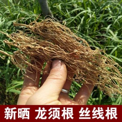 韶关丝线根的价格(丝线根的功效及价格)-图2 韶关丝线根的价格(丝线根的功效及价格)-图2