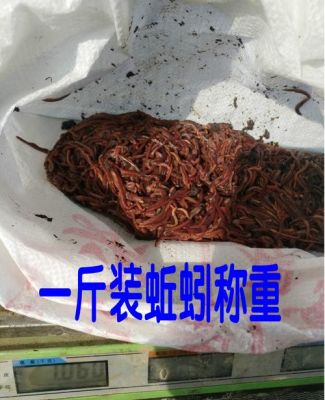 邱引的价格(邱down)-图3 邱引的价格(邱down)-图3