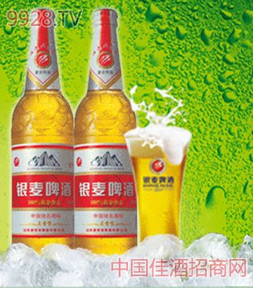 黄金澳麦价格(黄金澳麦啤酒多少钱一箱)-图2 黄金澳麦价格(黄金澳麦啤酒多少钱一箱)-图2