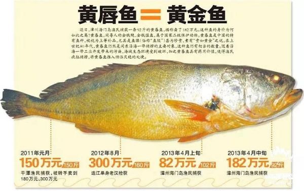 金钱敏价格(金钱敏现在在市场什么价格?)-图2 金钱敏价格(金钱敏现在在市场什么价格?)-图2