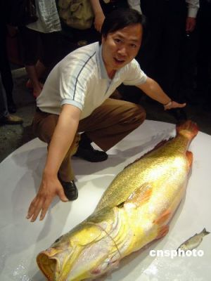 金钱敏价格（金钱敏现在在市场什么价格?）