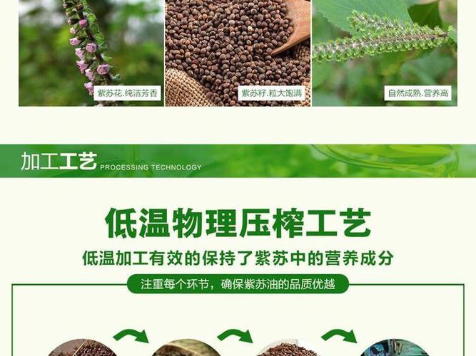 荏油价格(油价格网)-图3 荏油价格(油价格网)-图3