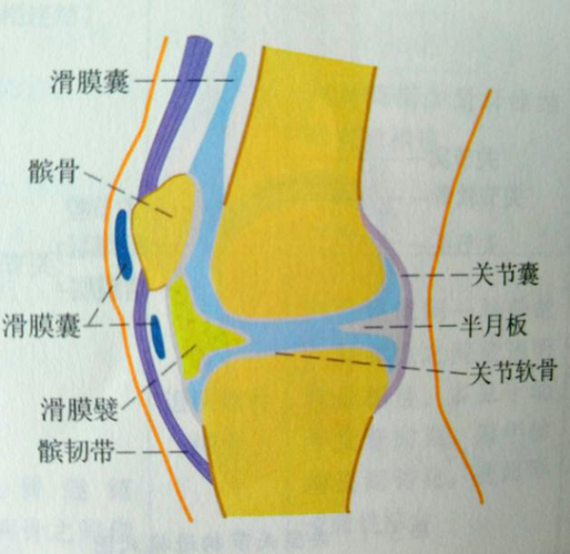 滑囊炎价格(滑囊炎能完全治好吗 新闻)-图3 滑囊炎价格(滑囊炎能完全治好吗 新闻)-图3