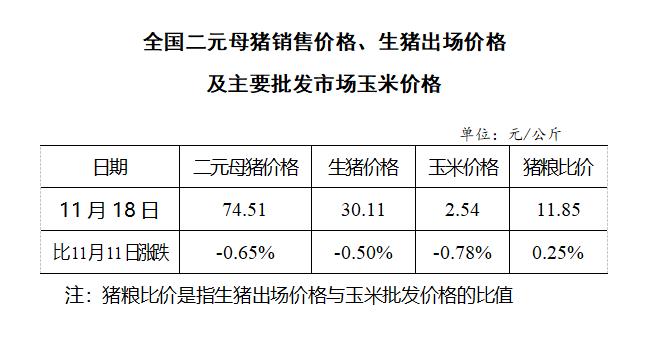 正大集团二元母猪价格（正大母猪饲料批发价格表）-图3