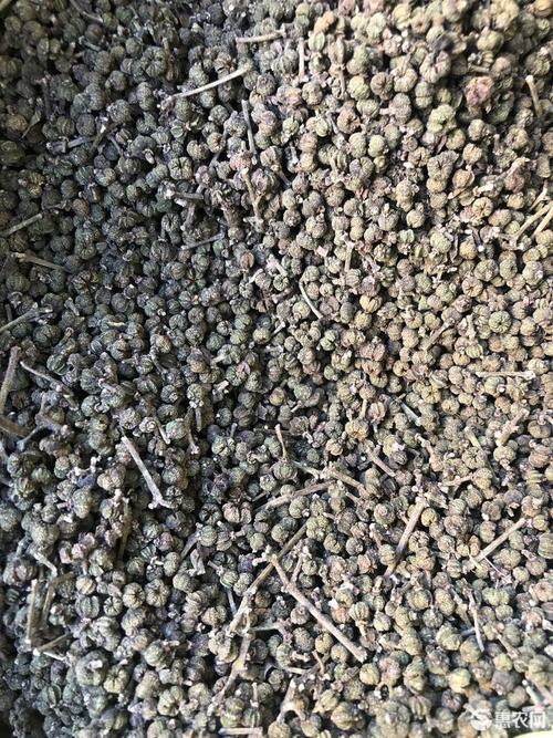 茶辣的价格(今年茶辣的价格)-图2 茶辣的价格(今年茶辣的价格)-图2