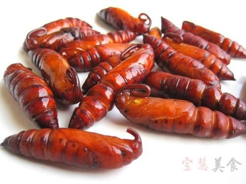 豆虫蛹价格(豆虫蛹和蚕蛹的区别)-图2 豆虫蛹价格(豆虫蛹和蚕蛹的区别)-图2