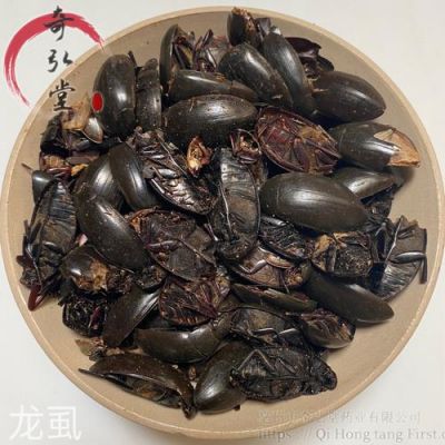 龙虱的价格(龙虱价格为什么那么贵)-图2 龙虱的价格(龙虱价格为什么那么贵)-图2