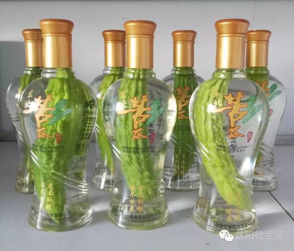 苦瓜酒价格（苦瓜酒多少钱一箱图片）