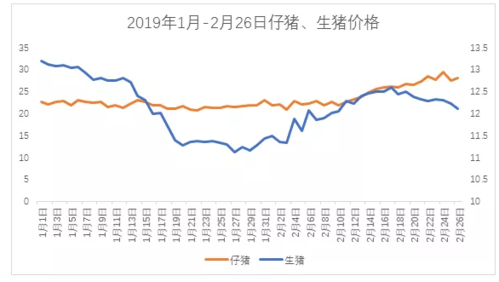 荆门生猪e网价格(荆门仔猪市场价格)-图1 荆门生猪e网价格(荆门仔猪市场价格)-图1
