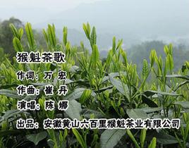 关于天鹅云尖茶叶价格的信息-图3 关于天鹅云尖茶叶价格的信息-图3
